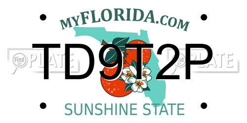 TD9T2P Florida License Plate