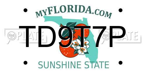 TD9T7P Florida License Plate