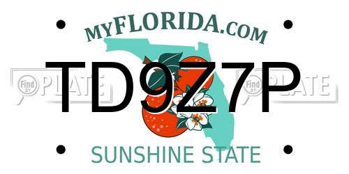 TD9Z7P Florida License Plate