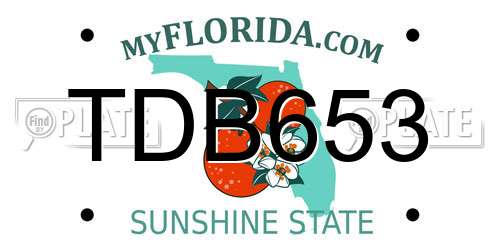 TDB653 Florida License Plate