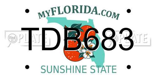 TDB683 Florida License Plate