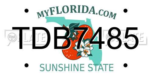 TDB7485 Florida License Plate