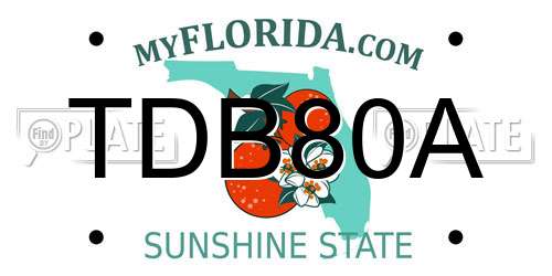TDB80A Florida License Plate