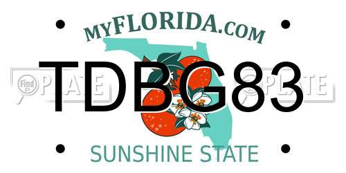TDBG83 Florida License Plate