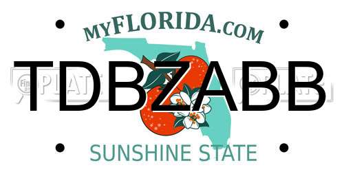 TDBZABB Florida License Plate