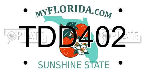 TDD402 Florida License Plate
