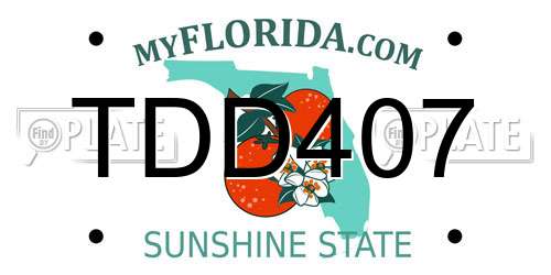 TDD407 Florida License Plate