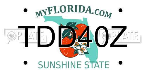 TDD40Z Florida License Plate