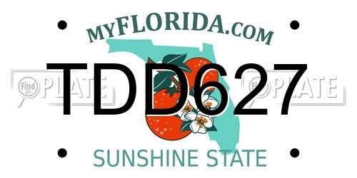 TDD627 Florida License Plate