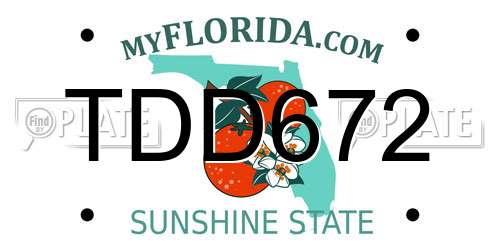 TDD672 Florida License Plate