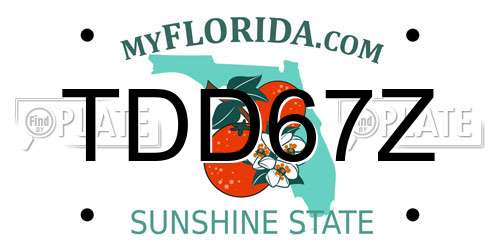TDD67Z Florida License Plate