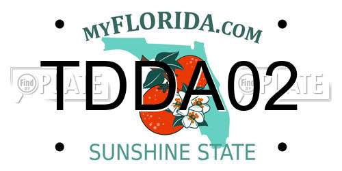 TDDA02 Florida License Plate