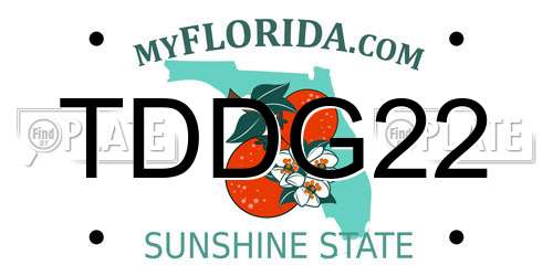 TDDG22 Florida License Plate