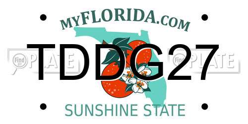 TDDG27 Florida License Plate