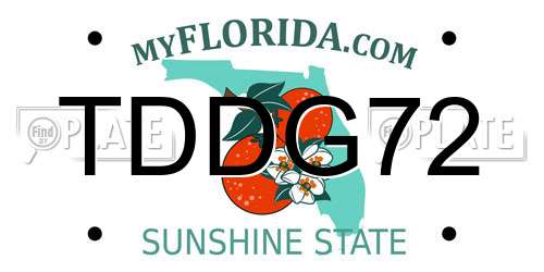 TDDG72 Florida License Plate