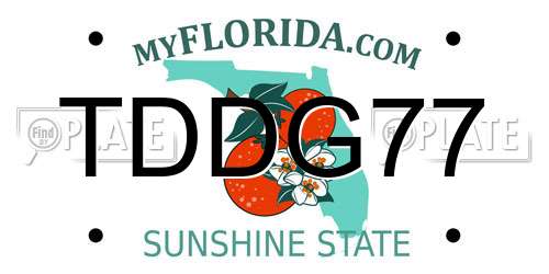 TDDG77 Florida License Plate