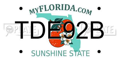 TDE92B Florida License Plate