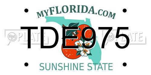 TDE975 Florida License Plate