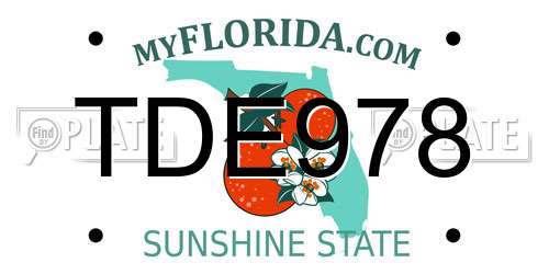 TDE978 Florida License Plate