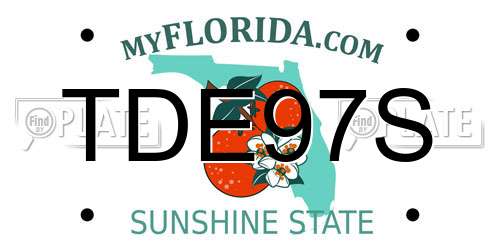 TDE97S Florida License Plate