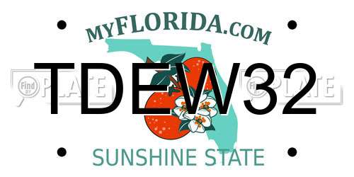 TDEW32 Florida License Plate