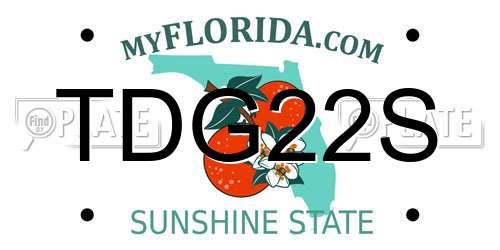 TDG22S Florida License Plate