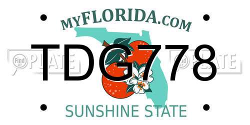 TDG778 Florida License Plate