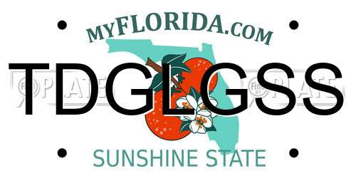 TDGLGSS Florida License Plate