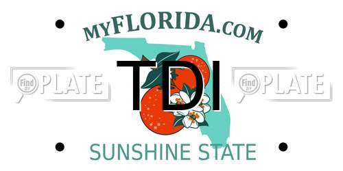 TDI Florida License Plate