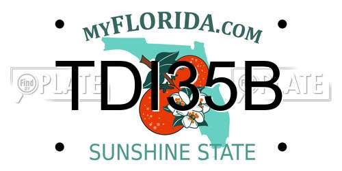 TDI35B Florida License Plate