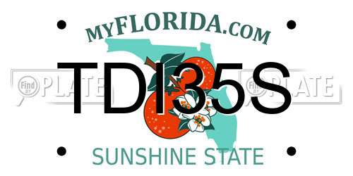 TDI35S Florida License Plate