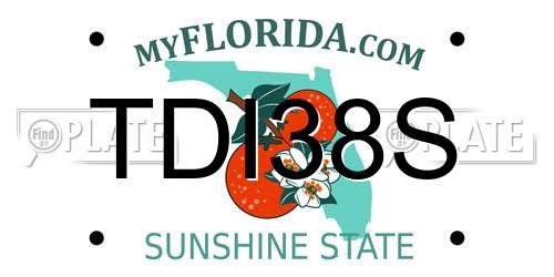 TDI38S Florida License Plate