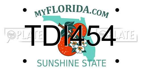 TDI454 Florida License Plate
