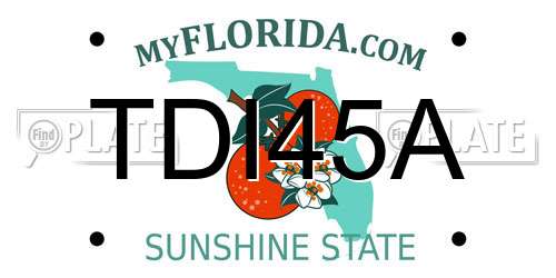 TDI45A Florida License Plate