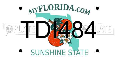TDI484 Florida License Plate