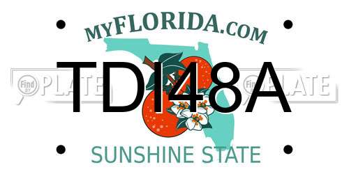 TDI48A Florida License Plate