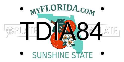TDIA84 Florida License Plate
