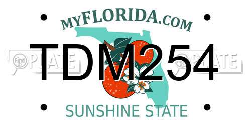 TDM254 Florida License Plate