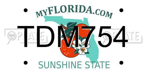 TDM754 Florida License Plate