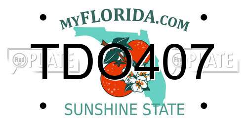 TDO407 Florida License Plate