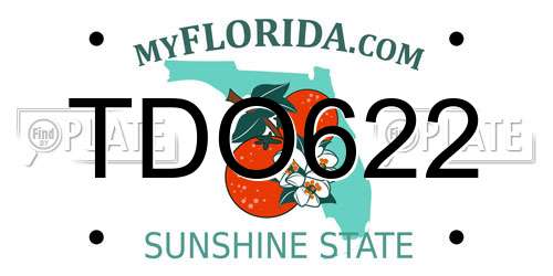 TDO622 Florida License Plate