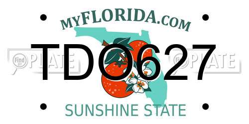 TDO627 Florida License Plate