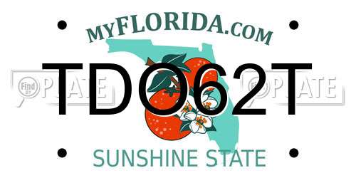 TDO62T Florida License Plate