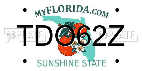 TDO62Z Florida License Plate