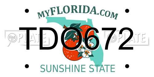 TDO672 Florida License Plate