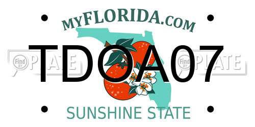 TDOA07 Florida License Plate