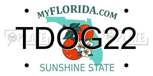 TDOG22 Florida License Plate