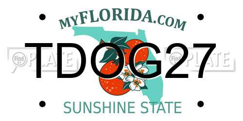 TDOG27 Florida License Plate