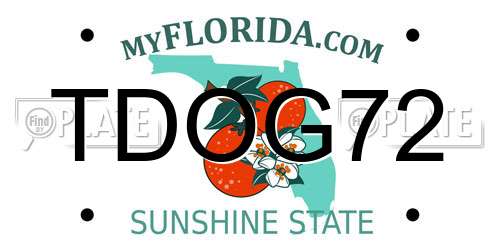 TDOG72 Florida License Plate