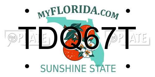 TDQ67T Florida License Plate